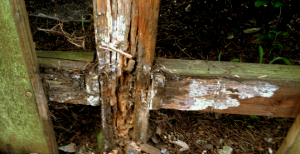 wooden fence rot