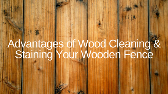 Advantages of Cleaning & Staining Your Wooden Fence
