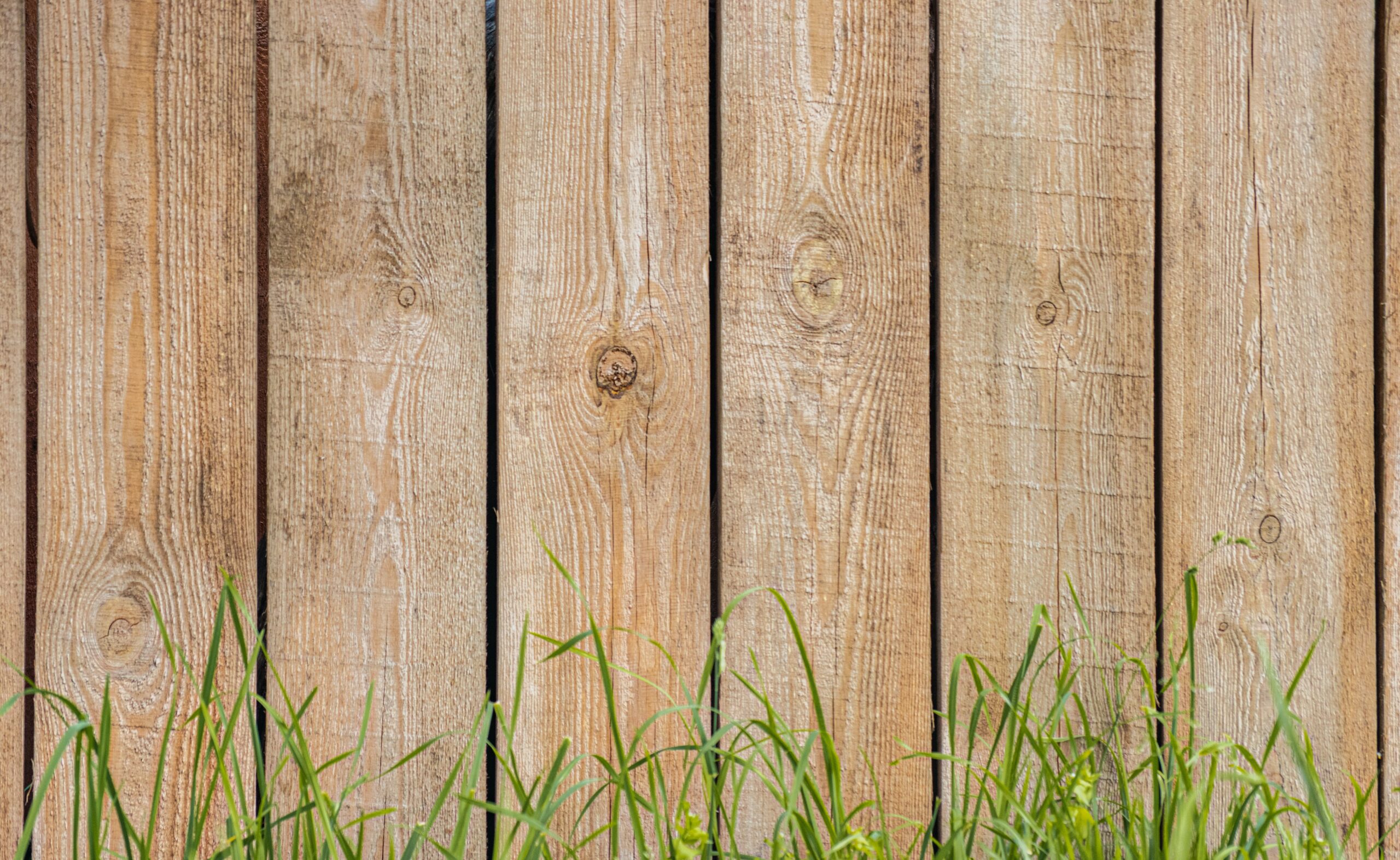 7 Different Types of Wood Fences
