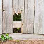 Signs It's Time to Get a New Wood Fence Installed